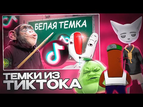 Видео: BVS, Solek, ЧУВАК СМОТРЯТ - ТЕМЩИКИ ИЗ ТИКТОКА НАУЧАТ ТЕБЯ ЗАРАБАТЫВАТЬ! \\ TELEK