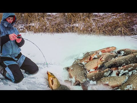 Видео: В ЭТОМ ОЗЕРЕ СБИЛСЯ ВЕСЬ КАРАСЬ НА ЗИМОВКУ! ГЛУХОЗИМЬЕ УДИВИЛО! Зимняя рыбалка 2024