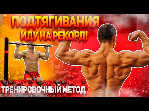 Видео: Как увеличить количество подтягиваний? - тренировка Шреддера