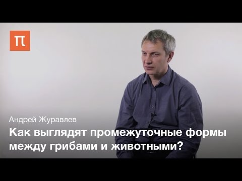 Видео: Появление первых животных - Андрей Журавлев