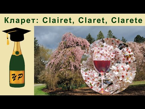 Видео: Кларет: Clairet, Claret, Clarete