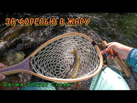 Видео: За форелью в жару. Спиннинг Daiwa Silver Creek