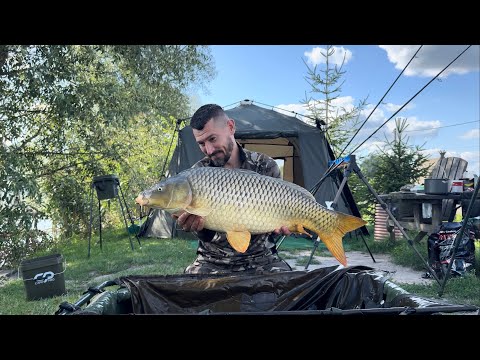 Видео: Карп фішинг для Початківців! Як зловити Рибу 10+кг ???