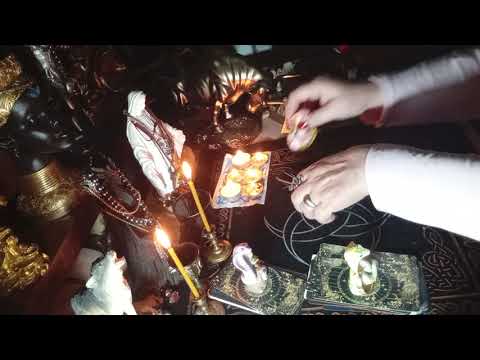 Видео: Враг в шоке и ступоре ! Обезумел. Что случилось .