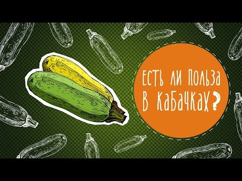 Видео: Есть ли польза в кабачках?