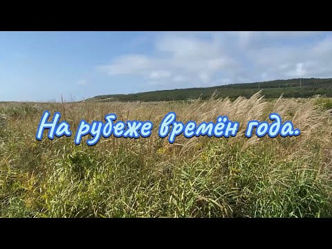 Видео: Влог. Рецепт: «Кукурузная лепешка». На рубеже времён года. 17 сентября 2025 г. 