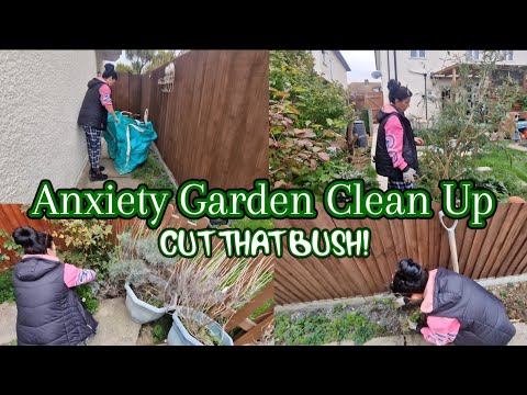 Видео: Уборка в саду, вызванная тревогой 🍂 #уборкасада #быстраяуборка #расхламление #обрезкакуста