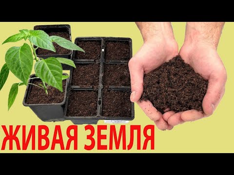 Видео: ПОЛНОЦЕННЫЙ грунт для РАССАДЫ. Как делают вермикомпост и вермигрунт?