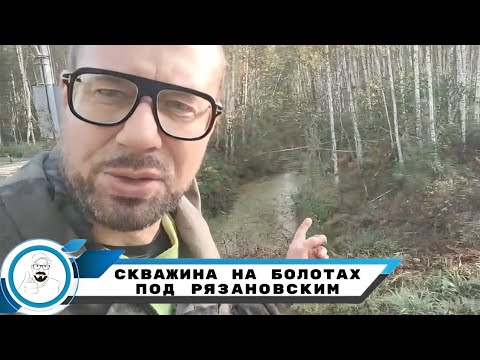 Видео: Абиссинка среди болот // уединенное снт среди воды