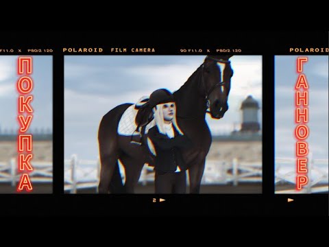 Видео: Эмоциональная покупка ГОННОВЕРА / ОБЗОР / Star Stable Online