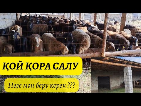 Видео: Қой қора салу.