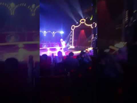 Видео: Цирк Иванов