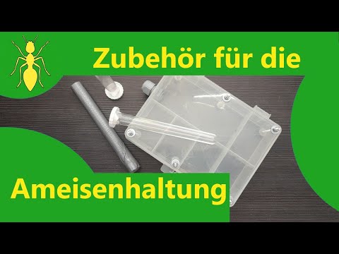 Видео: Аксессуары для муравьев-3 аксессуара для заводчиков муравьев, которые можно построить самостоятельно