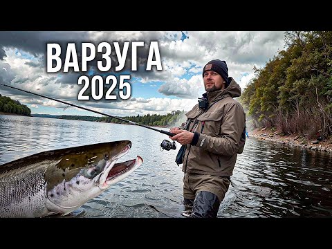 Видео: Варзуга 2025. Рыбалка на Кольском полуострове. Деревня Кузомень. Учимся ловить сёмгу.