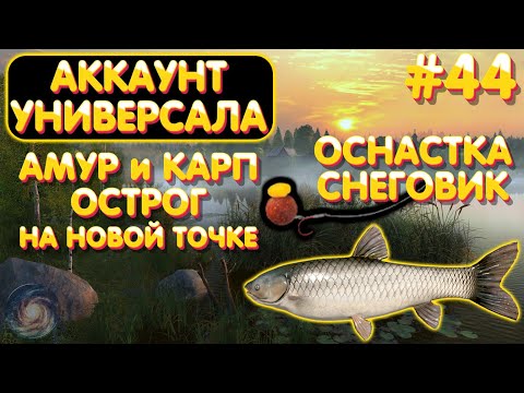 Видео: Аккаунт универсала #44 | Оснастка Снеговик на НОВОЙ точке | Амур и Карп | Острог | Русская Рыбалка 4