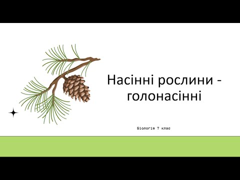 Видео: Насінні рослини. Голонасінні