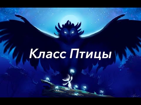 Видео: Урок "Класс Птицы" - ЦТ, ЕГЭ, ЗНО