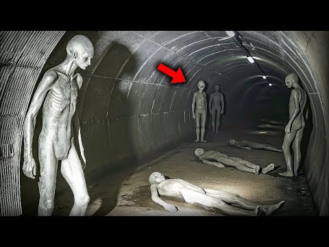 Видео: Находка в египетской пирамиде от которой мурашки по коже, археологи потеряли дар речи