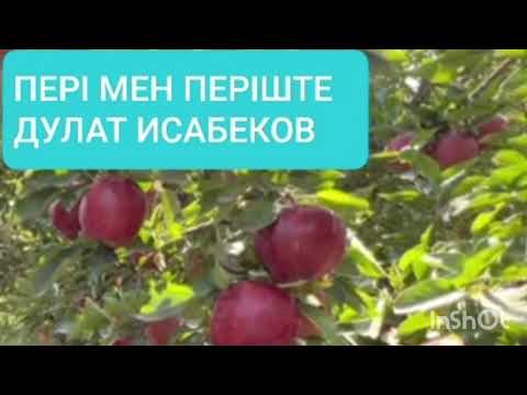 Видео: ПЕРІ МЕН ПЕРІШТЕ 3-ші бөлім | ДУЛАТ ИСАБЕКОВ | ПОВЕСТЬ
