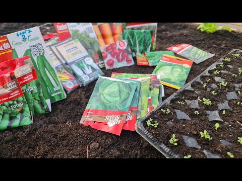 Видео: Посейте эти растения до конца января, чтобы получить ранний урожай!