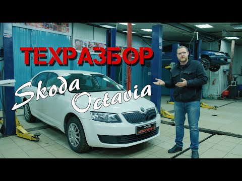 Видео: Skoda Octavia A7. ТЕХРАЗБОР