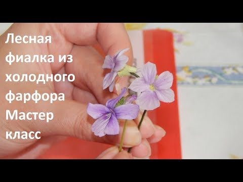 Видео: Лесная фиалка из холодного фарфора Мастер класс
