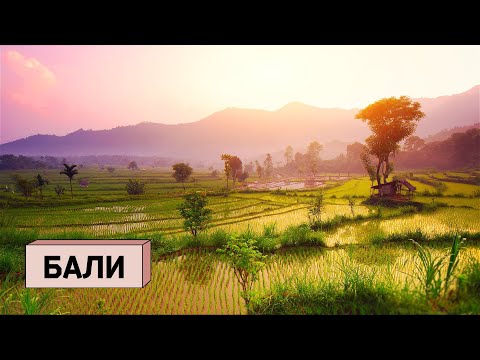 Видео: Самый перспективный остров в мире: Трамп, Солонин, Троценко и русские серферы