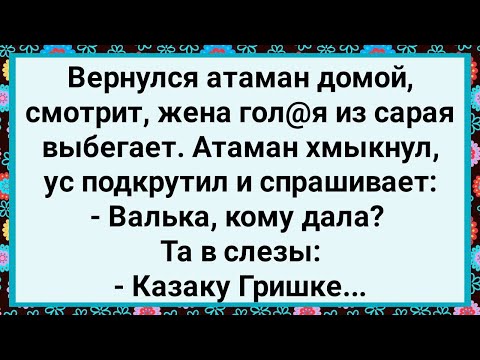 Видео: Как Атаман Жену с Казаком Гришкой Застукал! Большой Сборник Свежих Смешных Анекдотов!