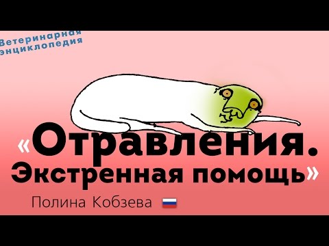 Видео: Отравления. Экстренная помощь