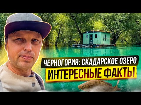Видео: Черногория Скадарское Озеро:  Рыбацкая деревня, экскурсия и интересные факты.