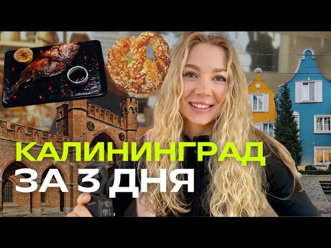 Видео: Лучшие вкусы Калининграда: гастровлог, аутентичные рестораны города и волшебная атмосфера осени