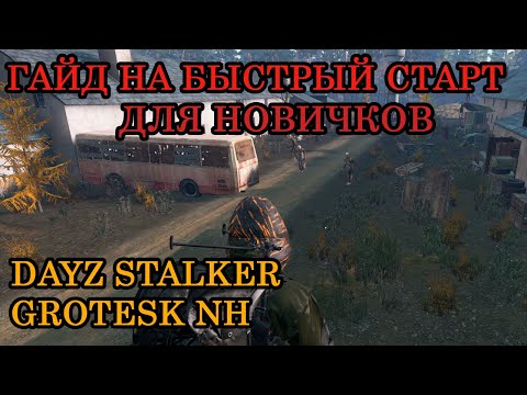 Видео: Гайд обзор для новичков - Dayz Stalker Grotesk NH