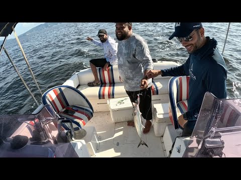 Видео: Рыба за рыбой, рыба за рыбой — Троллинг залива с ребятами — Ловля рыбы на бульон (BROFF)