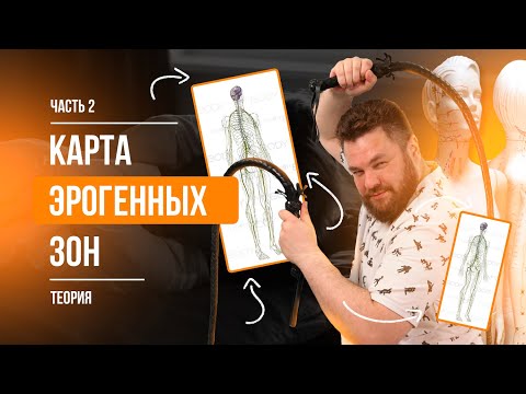 Видео: Карта эрогенных зон часть 2