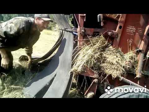 Видео: Пресподборщик ПРП-1.6 . Закусывает ремни.