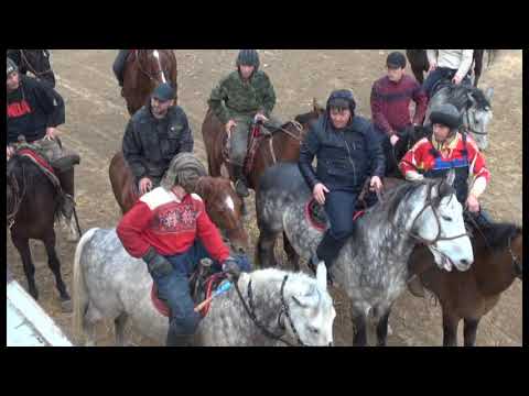 Видео: БУЗКАШИ ДАР ШАХРАКИ ГУСАР  ( кисми 7 )