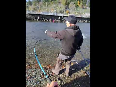 Видео: Заготовка красной икры