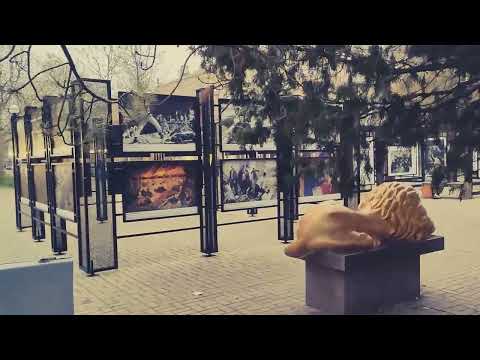 Видео: Видео зарисовки в туман город Бердянск 9 11 2025г