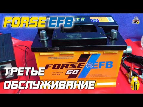 Видео: FORSE EFB - ТРЕТЬЕ ОБСЛУЖИВАНИЕ (Осень 2021)