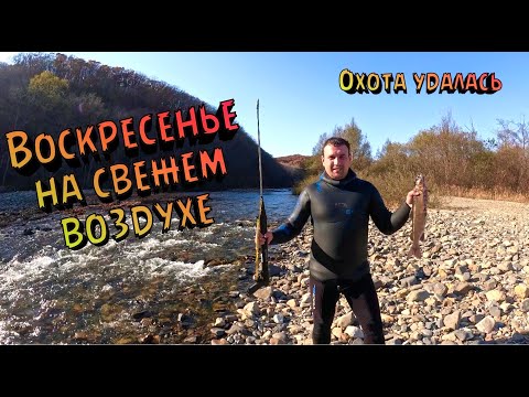 Видео: ВОСКРЕСЕНЬЕ НА ПРИРОДЕ \ ПОДВОДНАЯ ОХОТА УДАЛАСЬ \ РУБРИКА ВОПРОС-ОТВЕТ