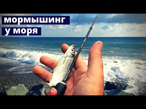 Видео: Мормышинг на горной реке у Черного  моря. Спиннинг Fish Nano Zero NSR582S SXUL