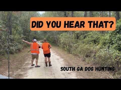 Видео: 2-й день выходных‼️