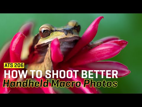 Видео: Приближение к сцене 206: как снимать макро с рук лучше