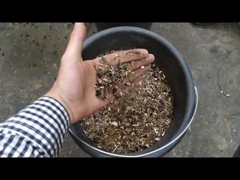 Видео: Гранулятор для отходов подсолнуха. Гранулирование агроотхода.