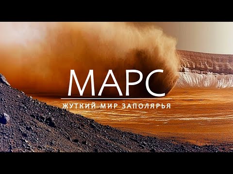 Видео: Заполярье Марса: последние снимки «Феникса» NASA.
