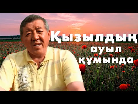 Видео: Қызылдың ауыл құмында