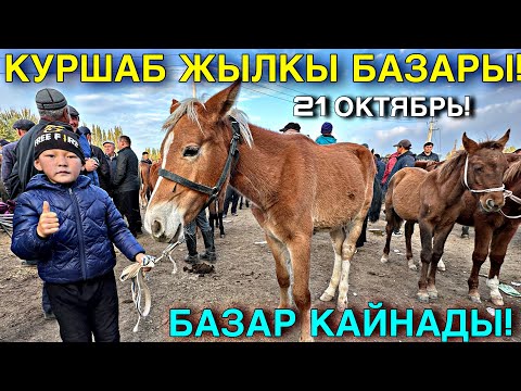 Видео: БҮГҮН ЖЫЛКЫ БАЗАР КАЙНАДЫ  #байтв