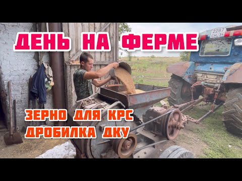 Видео: Будни фермера. Зернодробилка
