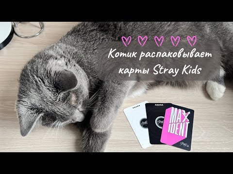 Видео: Котораспаковка карт🩷#straykids #карточки #скз #стэй #стрэйкидс #skz #распаковка #кпоп #kpop #биас