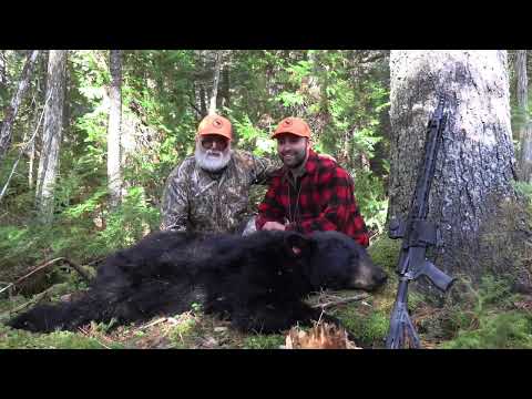 Видео: Охота на медведя-гончую Wilderness Lodge Outfitters, штат Мэн, 2025